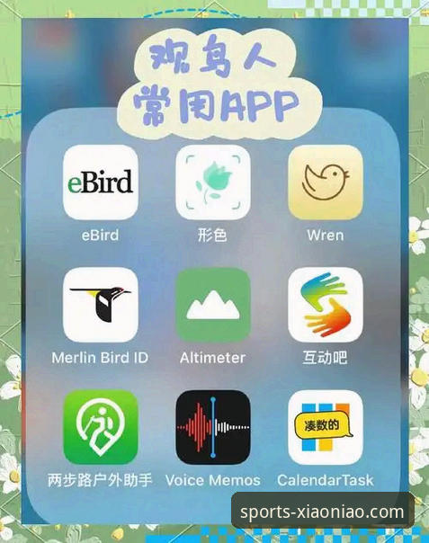 小鸟综合体育实用评测：平台功能与移动端下载全指南