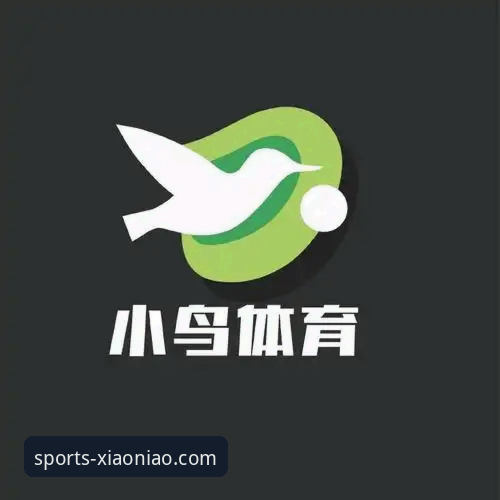 小鸟综合体育平台深度解析：官方与移动端全方位对比