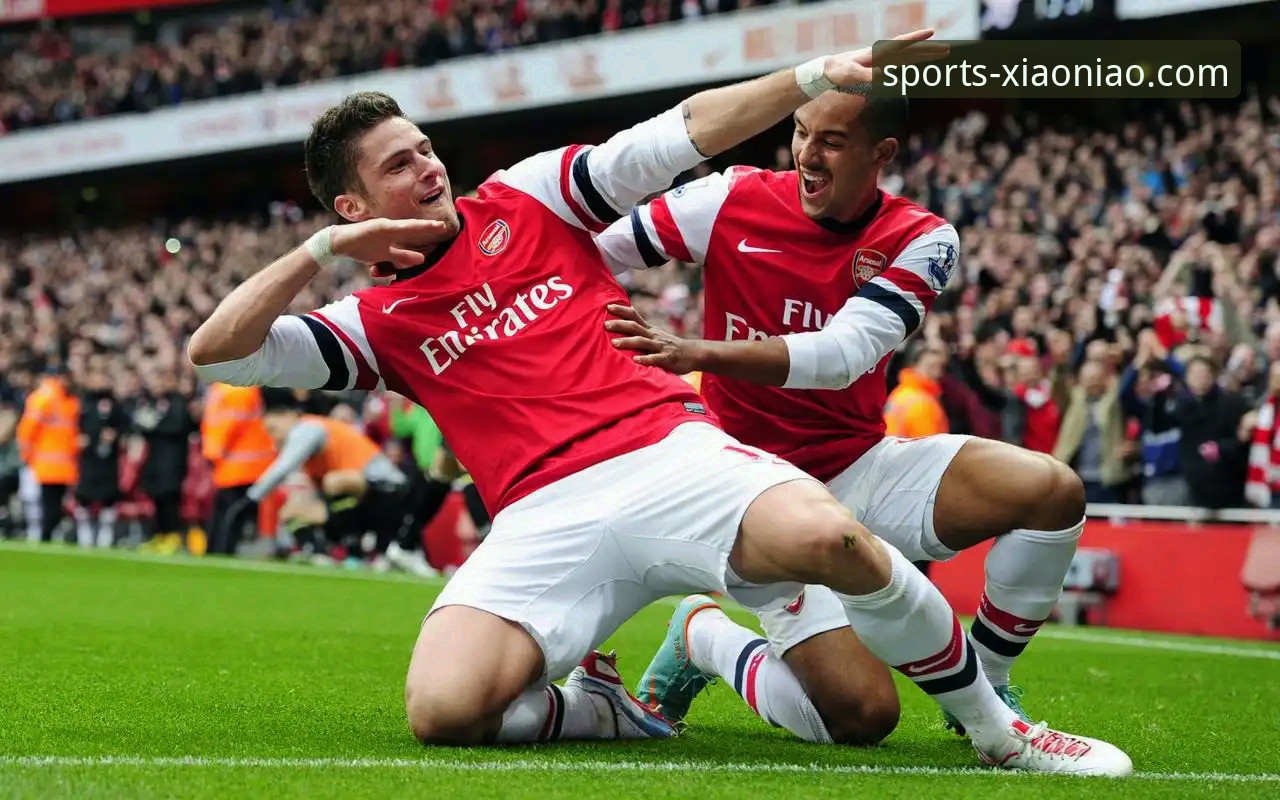 小鸟综合体育电脑版全面评测：一站式体育娱乐的桌面解决方案