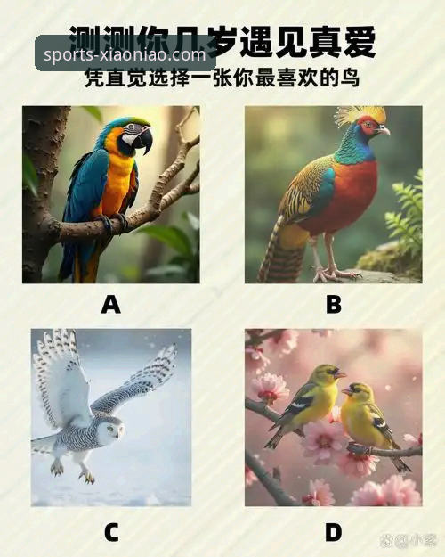 小鸟体育怎么下载 一场经典对决的沉浸式体验:小鸟综合体育平台观赛深度评测