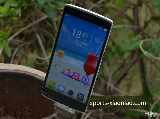 小鸟体育手机版 小鸟综合体育手机版深度评测与下载指南