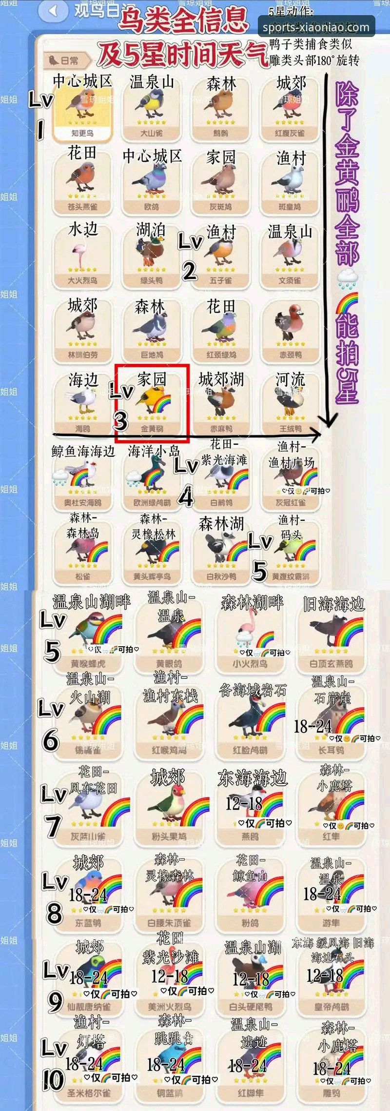 小鸟体育下载安装与使用完整指南：解锁移动观赛新维度